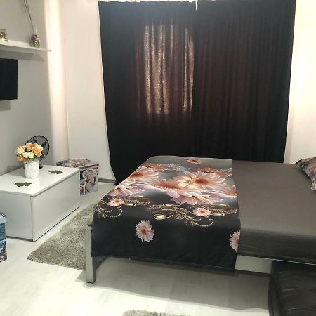 شقة Garsoniera Aleea Trandafirilor Băile Herculane المظهر الخارجي الصورة