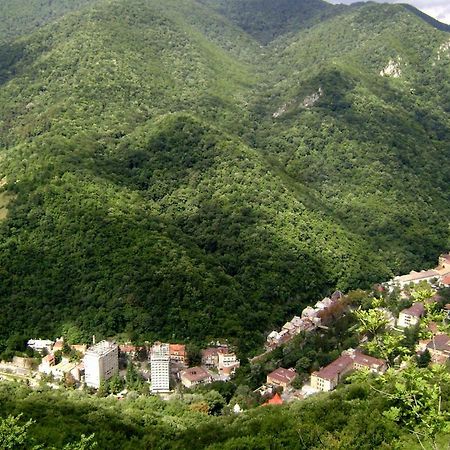 شقة Garsoniera Aleea Trandafirilor Băile Herculane المظهر الخارجي الصورة